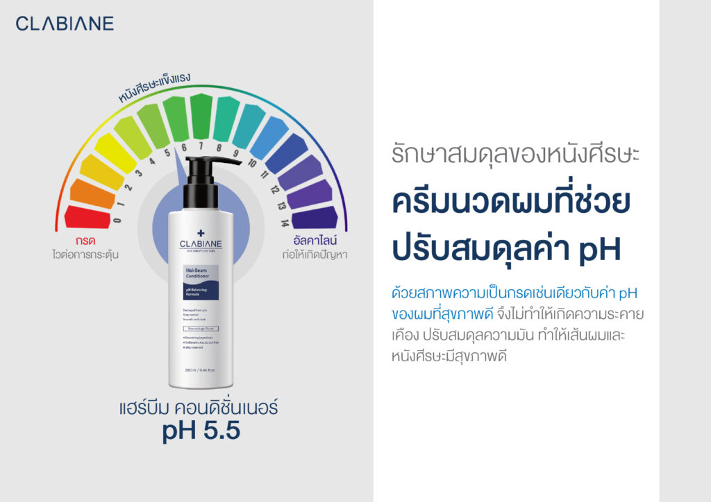 Hair Beam Conditioner
